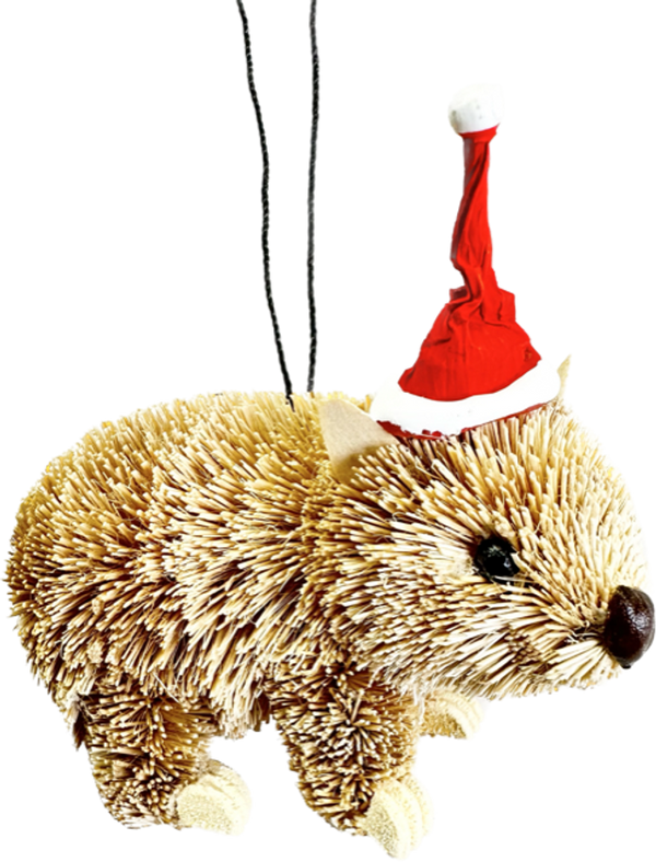 Bristlebrush 'Wombat' Christmas Ornament