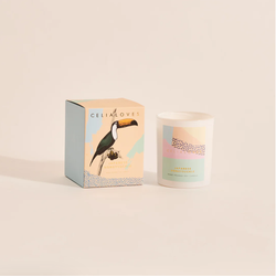 Celia Loves Japanese Honeysuckle Candle 195g