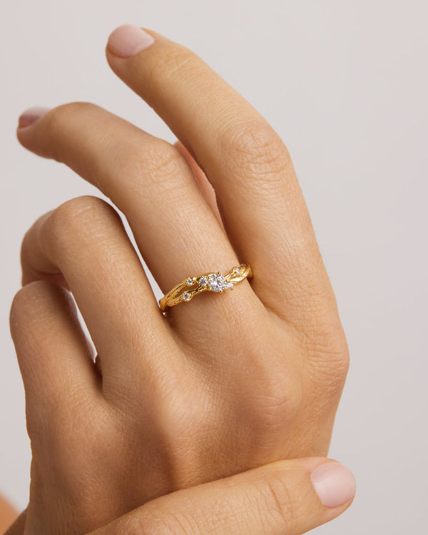 by charlotte 18k Gold Vermeil No Rain, No Flowers Ring