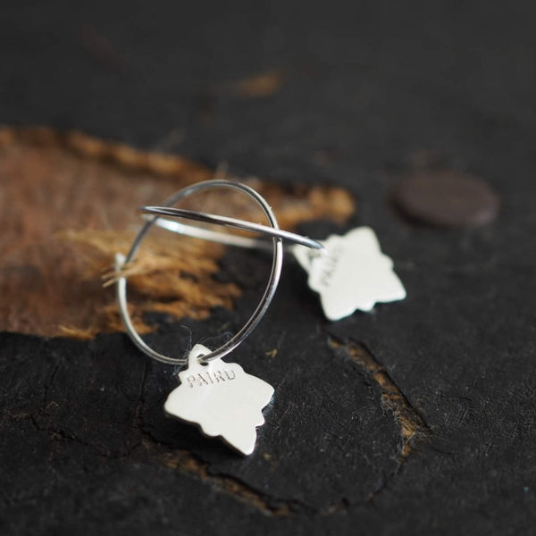 Paird Starlight Hoops