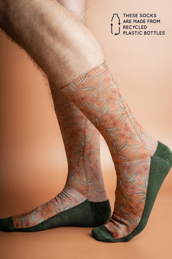 Peggy and Finn 'Flowering Gum' Terracotta Socks